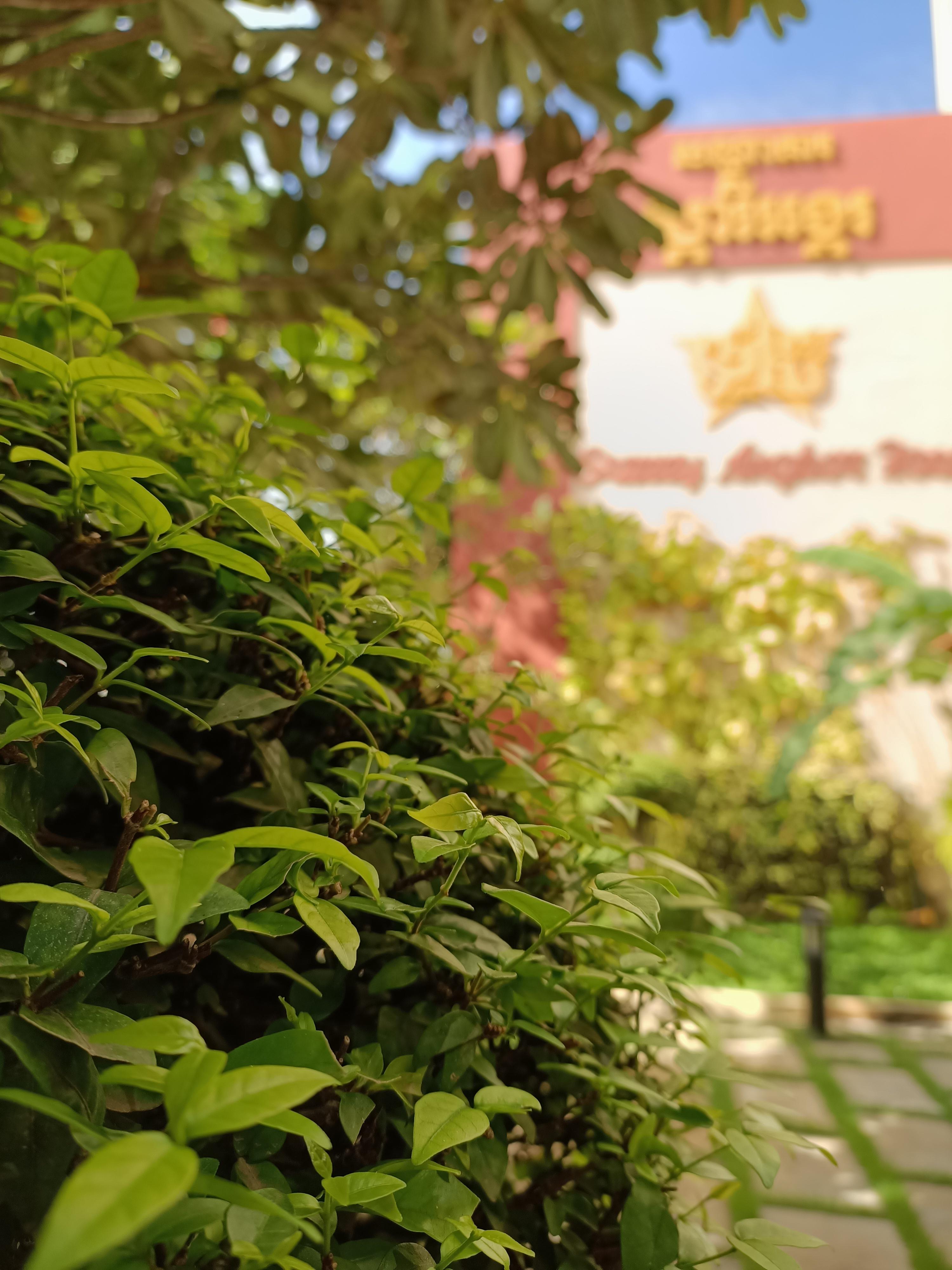 โรงแรมสตาร์รี อังกอร์ เสียมราฐ ภายนอก รูปภาพ