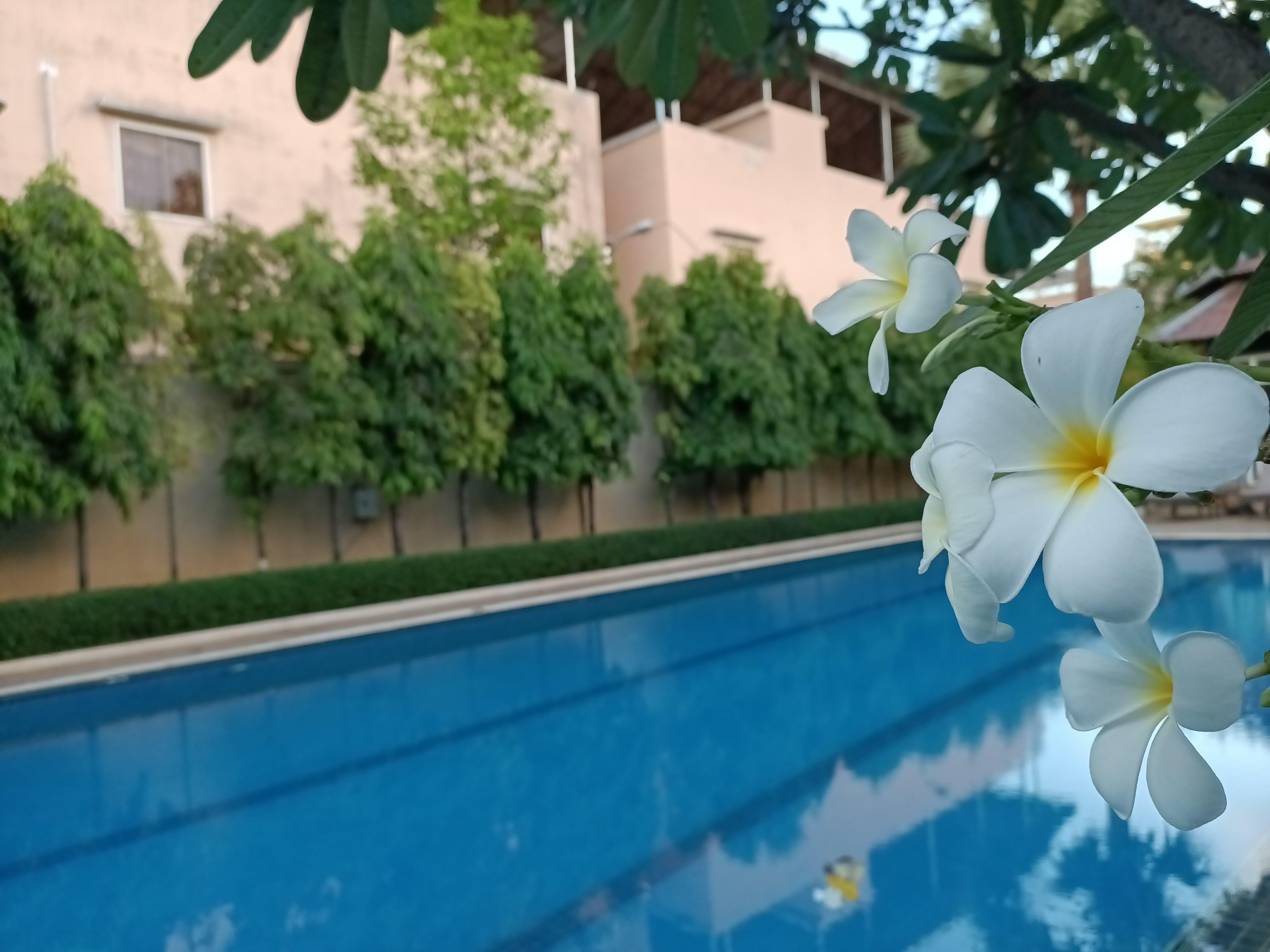 โรงแรมสตาร์รี อังกอร์ เสียมราฐ ภายนอก รูปภาพ